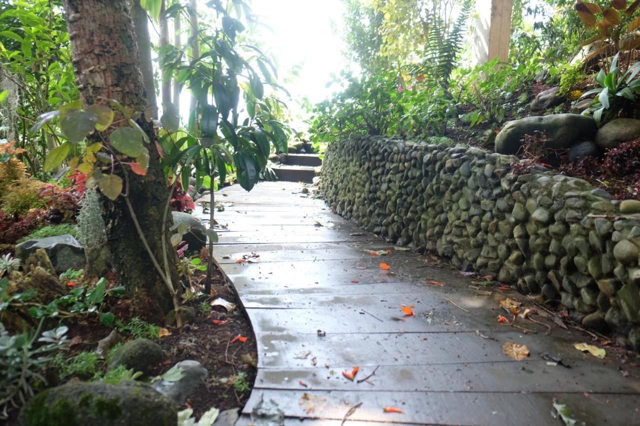 Villa Casa Nativo Jardín Esterno foto
