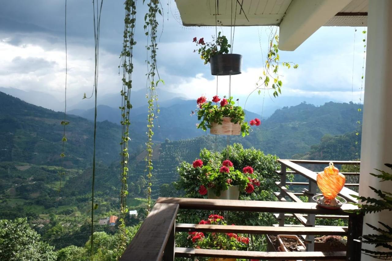 Villa Casa Nativo Jardín Esterno foto