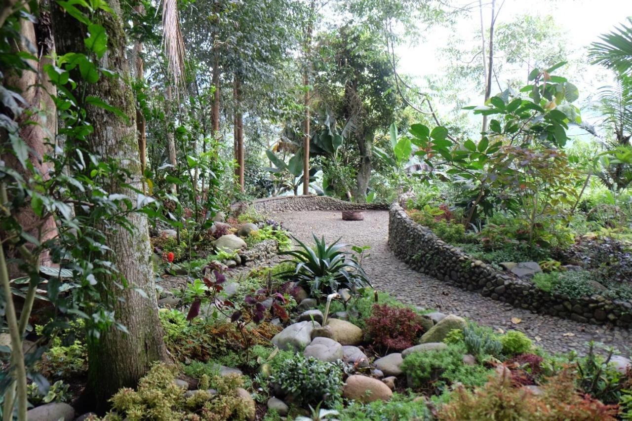 Villa Casa Nativo Jardín Esterno foto