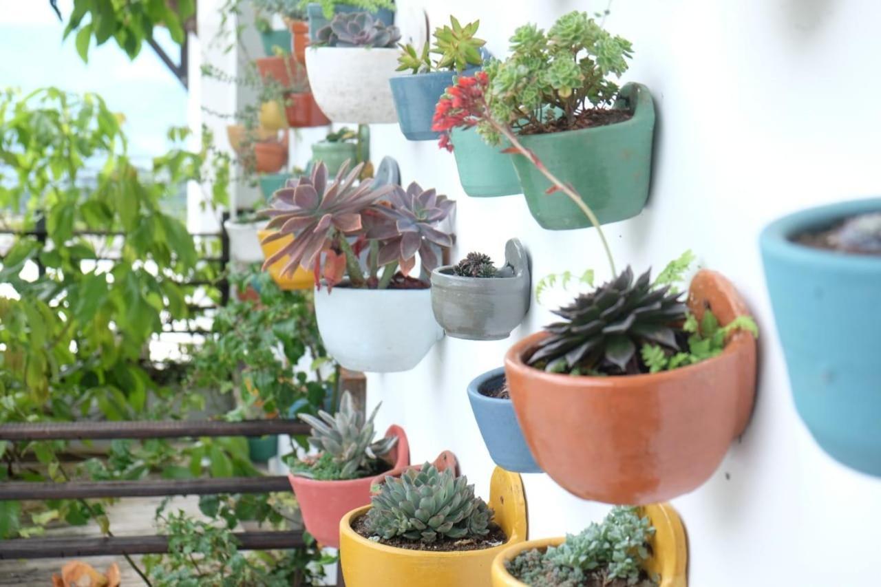 Villa Casa Nativo Jardín Esterno foto